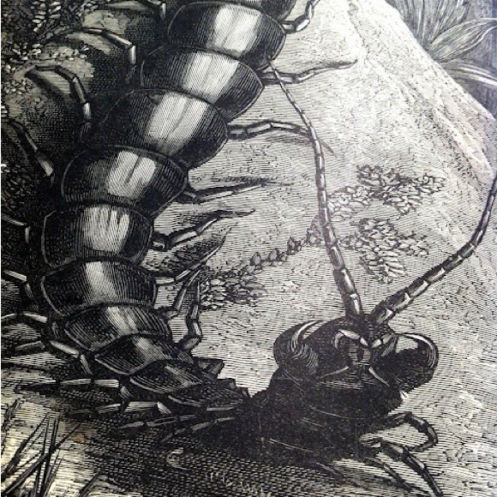 Meet your Posher, Kenneth